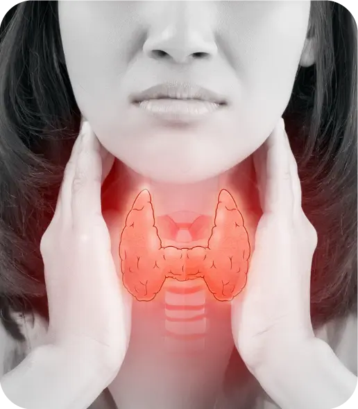 Endocrinology Billing and Coding Service